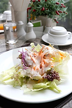 Mixed Vegetables Salad on white dish.