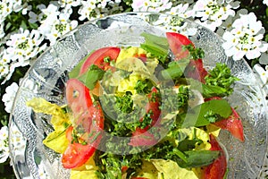 Mixes salad with wild garlic in front of blossoming alyssum