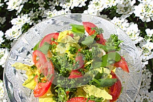Mixes salad with wild garlic in front of blossoming alyssum