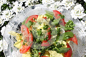 Mixes salad with wild garlic in front of blossoming alyssum