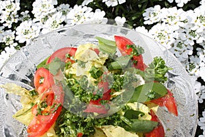 Mixes salad with wild garlic in front of blossoming alyssum