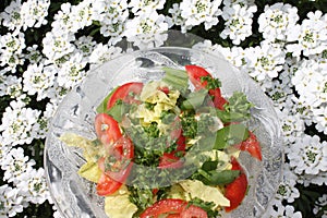 Mixes salad with wild garlic in front of blossoming alyssum