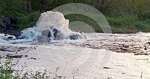 Mixing zone of sewage discharge of urban sewage with a flock of ducks in the foam. river pollution. city dumps