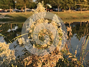 Mixtape sound digital screen mode