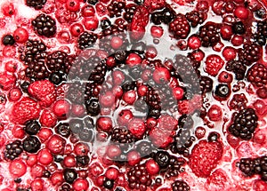 Mixture of autumn berries for flavouring ice cream