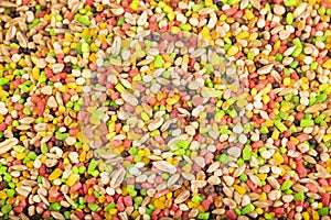 Food for birds. Cereal seeds - Canary seed