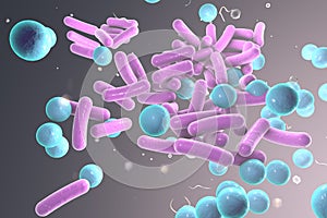 Mixture of different bacteria