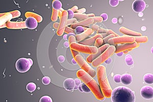 Mixture of different bacteria