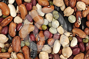 Mixture of different kind of beans