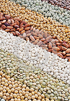 Mixture of dried lentils, peas, soybeans, beans