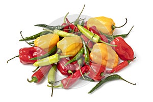 Mixture of fresh raw yellow and red Adjuma peppers and red and green rawit peppers close up