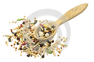 A mixture of grains and cereals in a wooden spoon