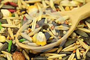 A mixture of grains and cereals in a wooden spoon background