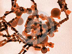 Mixture of nanoparticles