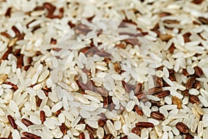 A mixture of a plurality of different types of rice