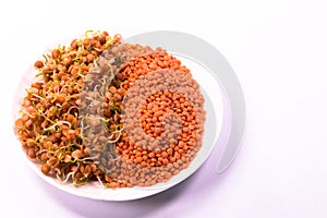 A mixture of raw red lentils and sprouts on white