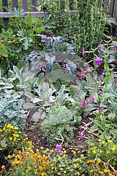 Mixture vegetable and flowers garden bed