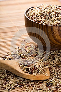 Mixture of Wild, Red, White and Brown Rice