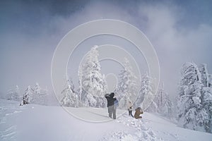 People taking photos of frozen trees or Juhyo in snowstorm in Miyagi, Japan