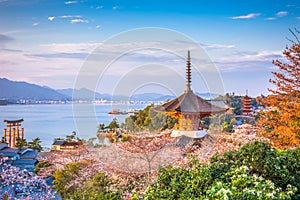 Miyajima, Hiroshima, Japan