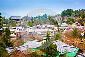 Miyajima Hiroshima Japan