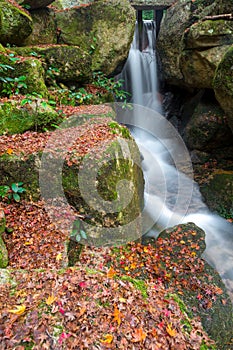 Miyajima, Hiroshima, Momijidani Park