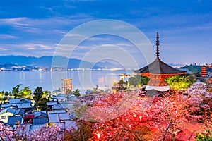 Miyajima, Hiroshima in Spring