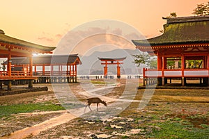 Miyajima Island, The famous Floating Torii gate