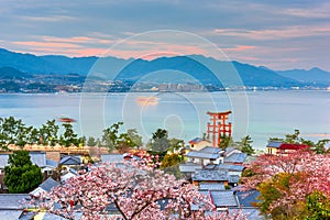 Miyajima Island, Hiroshima, Japan in spring