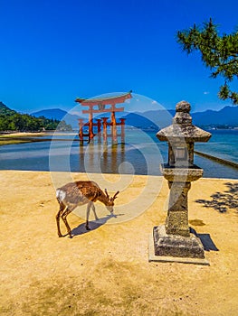 Miyajima, Japan