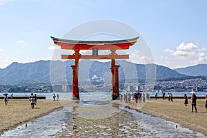 The great Torii Red at Itsukushima Shrine is a Shinto shrine on the island of Itsukushima aka Miyajima at low tide