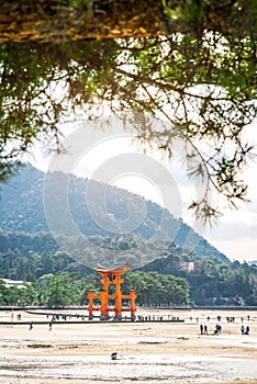 MIYAJIMA, JAPAN - MARCH 25, 2016: Tourists walk around the famous floating torii gate - Itsukushima Shrine, Miyajima