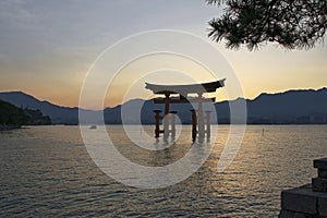 Miyajima is a small island of Hiroshima in Japan. It is most famous for its giant torii gate, which at high tide seems to float on