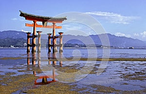 Miyajima temple tori