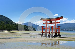 Miyajima Tori Gate photo