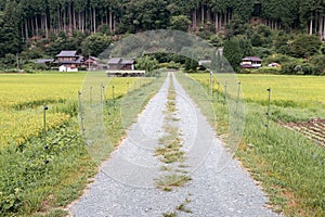 The Miyama District in Rural Kyoto Prefecture, Japan