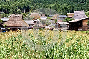 The Miyama District in Rural Kyoto Prefecture, Japan