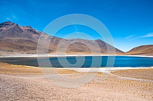 MiÃÂ±iques lagoon in San Pedro de Atacama, Chile photo