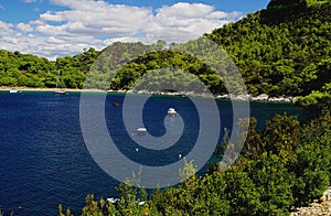Mljet Saplunara 10