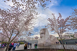 MLK Memorial in Spring in Washington DC