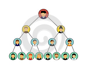 MLM or pyramid scheme or organization chart on the company
