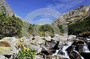 Mlynická dolina, Vysoké Tatry, Slovensko