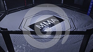 Mma arena. Empty fight cage under lights. 3D rendering