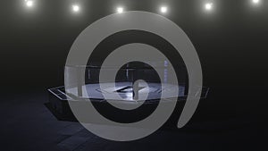 Mma arena. Empty fight cage under lights. 3D rendering