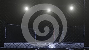 Mma arena side view. Empty fight cage under lights. 3D rendering