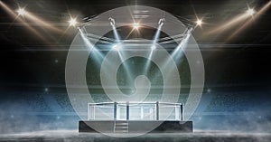 MMA cage night. Fighting Championship. Fight night. 3D render MMA arena. View of the arena by spotlights. Full tribune