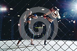 MMA Fight boxing Women