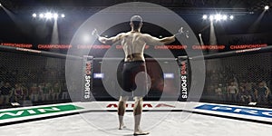 Mma fighter in arena greeting the spectators, rear view