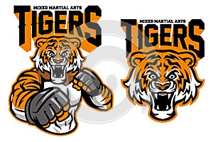 MMA fighter tiger