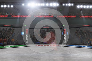 Mma fighting stage side view under lights